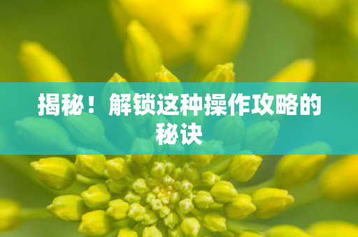 揭秘!解锁这种操作攻略的秘诀 揭秘!解锁这种操作攻略的秘诀