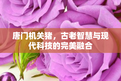 古老智慧与现代科技的完美融合图片