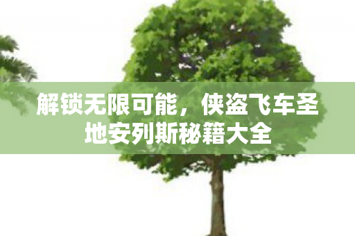 侠盗飞车圣地安列斯秘籍大全图片