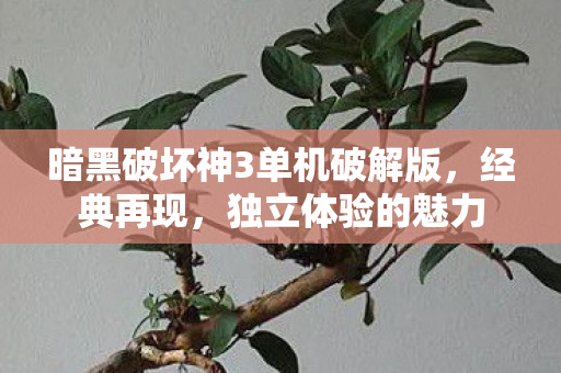 暗黑破坏神3单机破解版,经典再现,独立体验的魅力 暗黑破坏神3单机破解版,经典再现,独立体验的魅力