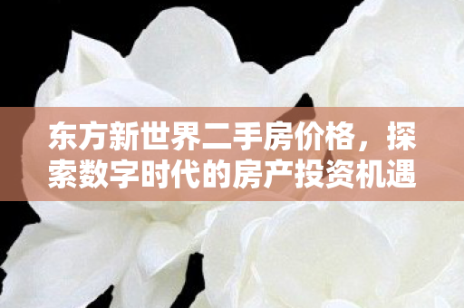 东方新世界二手房价格,探索数字时代的房产投资机遇 东方新世界二手房价格,探索数字时代的房产投资机遇
