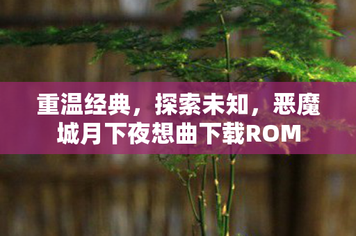 重温经典,探索未知,恶魔城月下夜想曲下载ROM 重温经典,探索未知,恶魔城月下夜想曲下载ROM