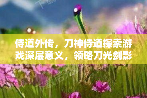侍道外传,刀神侍道探索游戏深层意义,领略刀光剑影的武侠世界 侍道外传,刀神侍道探索游戏深层意义,领略刀光剑影的武侠世界