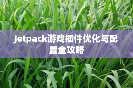 Jetpack游戏插件优化与配置全攻略