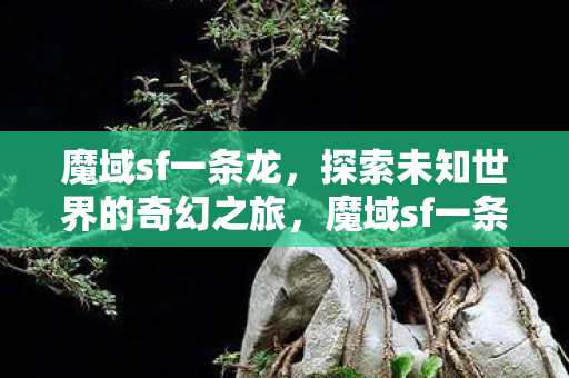 探索未知世界的奇幻之旅图片