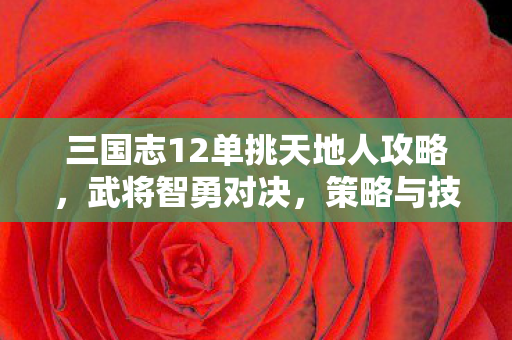 三国志12单挑天地人攻略,武将智勇对决,策略与技巧全解析 三国志12单挑天地人攻略,武将智勇对决,策略与技巧全解析