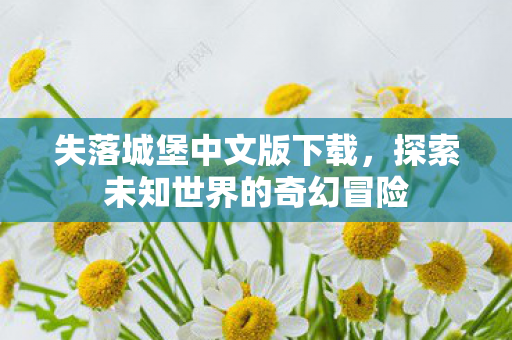 失落城堡中文版下载,探索未知世界的奇幻冒险 失落城堡中文版下载,探索未知世界的奇幻冒险