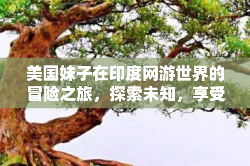 美国妹子在印度网游世界的冒险之旅，探索未知，享受自由