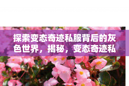 探索变态奇迹私服背后的灰色世界图片