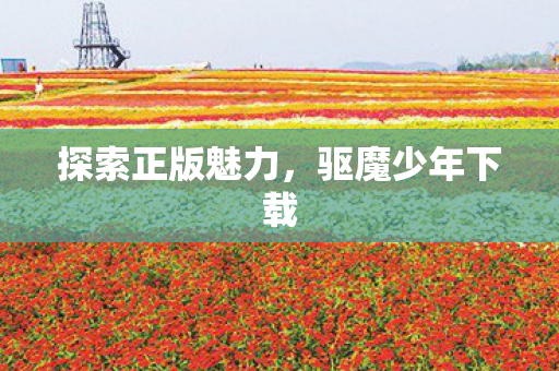 探索正版魅力图片