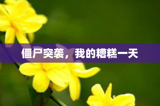 我的糟糕一天图片