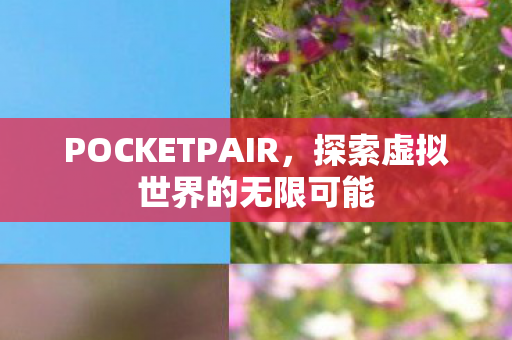 POCKETPAIR,探索虚拟世界的无限可能 POCKETPAIR,探索虚拟世界的无限可能