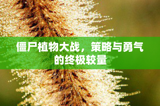 策略与勇气的终极较量图片