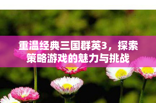 探索策略游戏的魅力与挑战图片