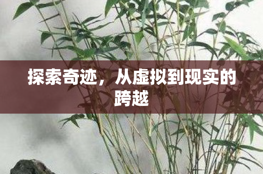 从虚拟到现实的跨越图片