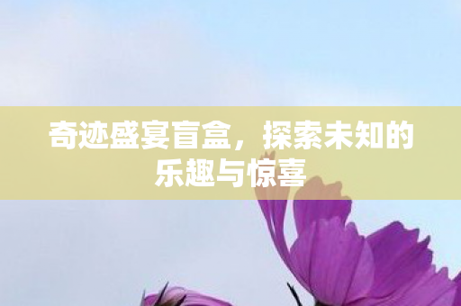 奇迹盛宴盲盒,探索未知的乐趣与惊喜 奇迹盛宴盲盒,探索未知的乐趣与惊喜