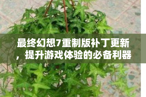 最终幻想7重制版补丁更新,提升游戏体验的必备利器 最终幻想7重制版补丁更新,提升游戏体验的必备利器