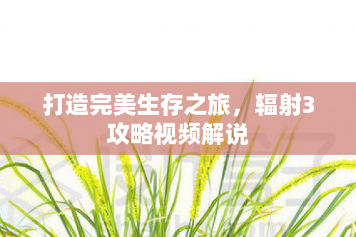 打造完美生存之旅,辐射3攻略视频解说 打造完美生存之旅,辐射3攻略视频解说