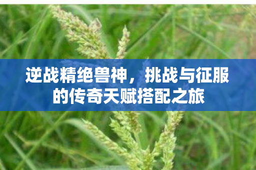 逆战精绝兽神,挑战与征服的传奇天赋搭配之旅 逆战精绝兽神,挑战与征服的传奇天赋搭配之旅