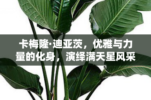 卡梅隆·迪亚茨,优雅与力量的化身,演绎满天星风采 卡梅隆·迪亚茨,优雅与力量的化身,演绎满天星风采