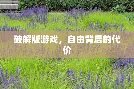 破解版游戏，自由背后的代价