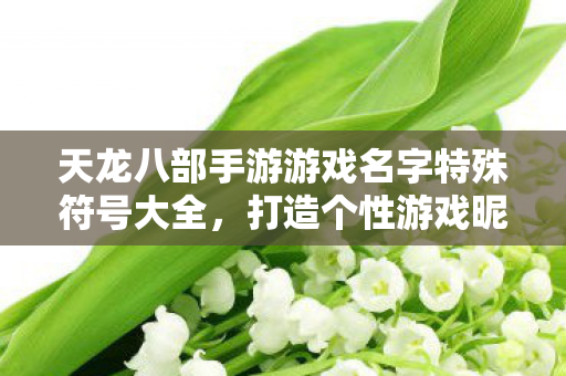 天龙八部手游游戏名字特殊符号大全图片