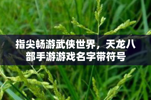 天龙八部手游游戏名字带符号图片