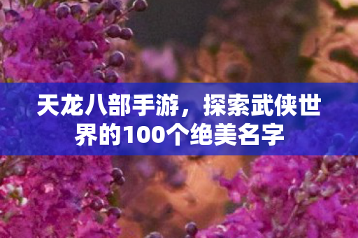 探索武侠世界的100个绝美名字图片