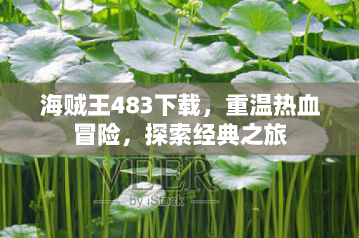 海贼王483下载,重温热血冒险,探索经典之旅 海贼王483下载,重温热血冒险,探索经典之旅