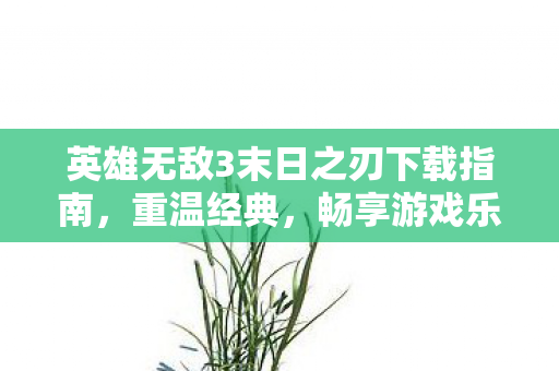 英雄无敌3末日之刃下载指南,重温经典,畅享游戏乐趣 英雄无敌3末日之刃下载指南,重温经典,畅享游戏乐趣