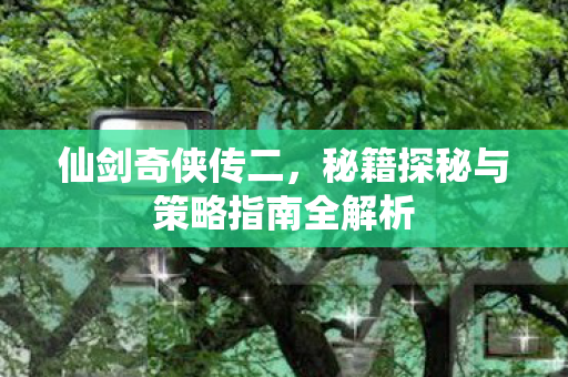 仙剑奇侠传二，秘籍探秘与策略指南全解析