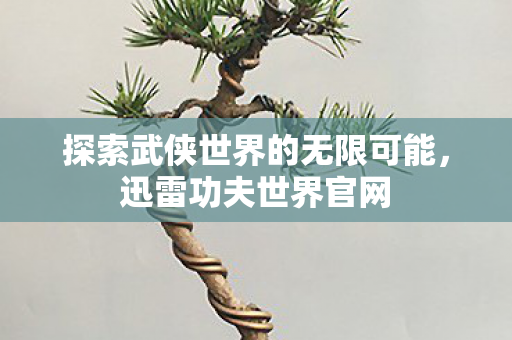 探索武侠世界的无限可能图片