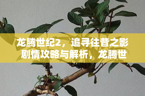 追寻往昔之影剧情攻略与深度解析图片