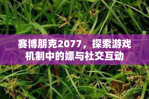 赛博朋克2077，探索游戏机制中的嫖与社交互动