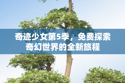 免费探索奇幻世界的全新旅程图片