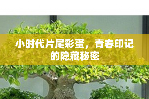 小时代片尾彩蛋，青春印记的隐藏秘密