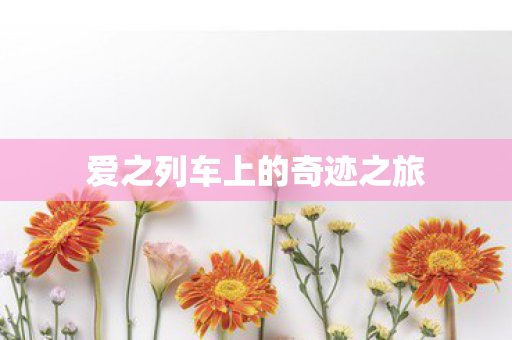 爱之列车上的奇迹之旅图片