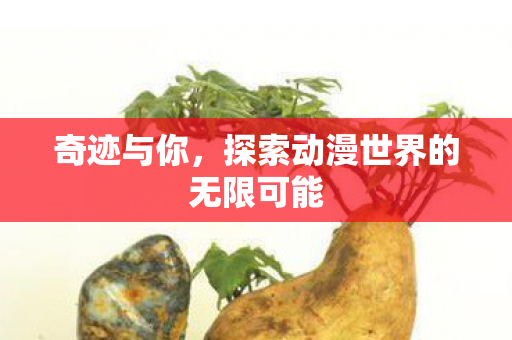 探索动漫世界的无限可能图片