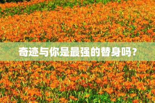 奇迹与你是最强的替身吗图片