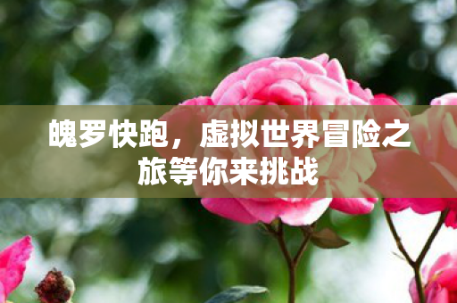 魄罗快跑,虚拟世界冒险之旅等你来挑战 魄罗快跑,虚拟世界冒险之旅等你来挑战