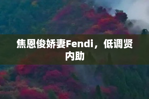 焦恩俊娇妻Fendi,低调贤内助 焦恩俊娇妻Fendi,低调贤内助