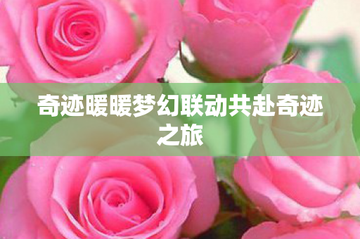 奇迹暖暖梦幻联动共赴奇迹之旅图片