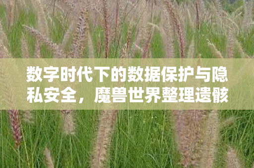 数字时代下的数据保护与隐私安全，魔兽世界整理遗骸任务启示