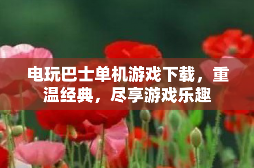 电玩巴士单机游戏下载,重温经典,尽享游戏乐趣 电玩巴士单机游戏下载,重温经典,尽享游戏乐趣