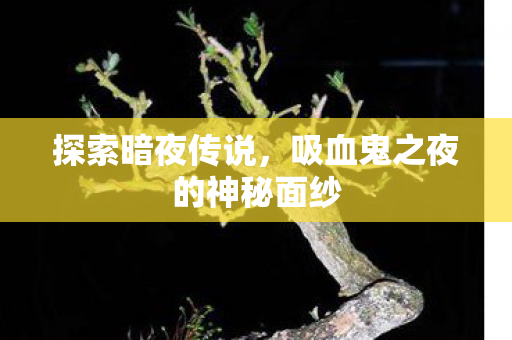 探索暗夜传说,吸血鬼之夜的神秘面纱 探索暗夜传说,吸血鬼之夜的神秘面纱
