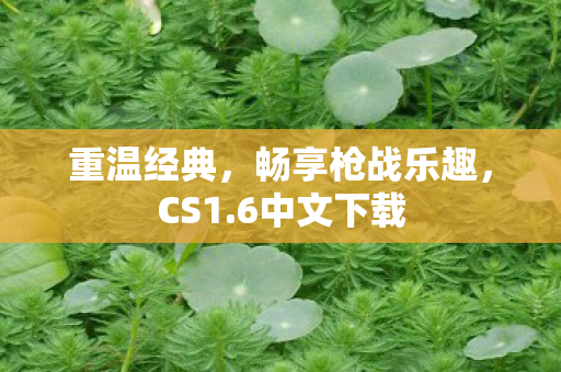 重温经典，畅享枪战乐趣，CS1.6中文下载