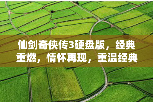 仙剑奇侠传3硬盘版,经典重燃,情怀再现,重温经典传奇 仙剑奇侠传3硬盘版,经典重燃,情怀再现,重温经典传奇