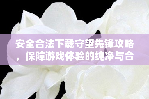 安全合法下载守望先锋攻略,保障游戏体验的纯净与合法 安全合法下载守望先锋攻略,保障游戏体验的纯净与合法
