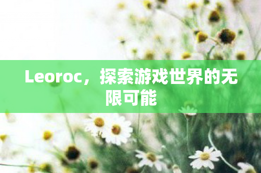 Leoroc,探索游戏世界的无限可能 Leoroc,探索游戏世界的无限可能