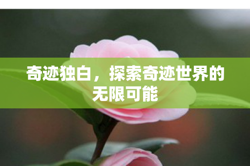 探索奇迹世界的无限可能图片